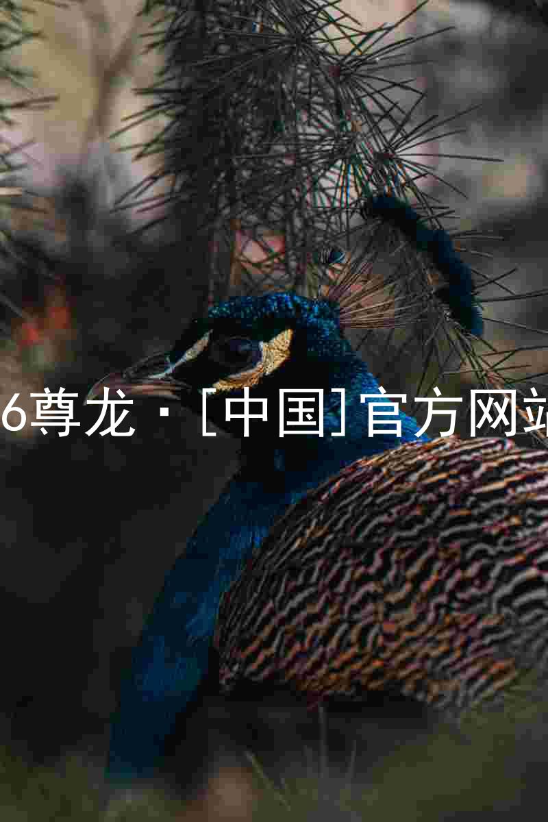 z6尊龙·[中国]官方网站